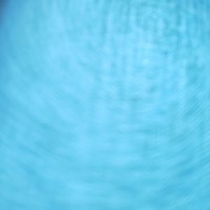 Meet your Posher, Krissa